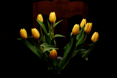 DSCF8350